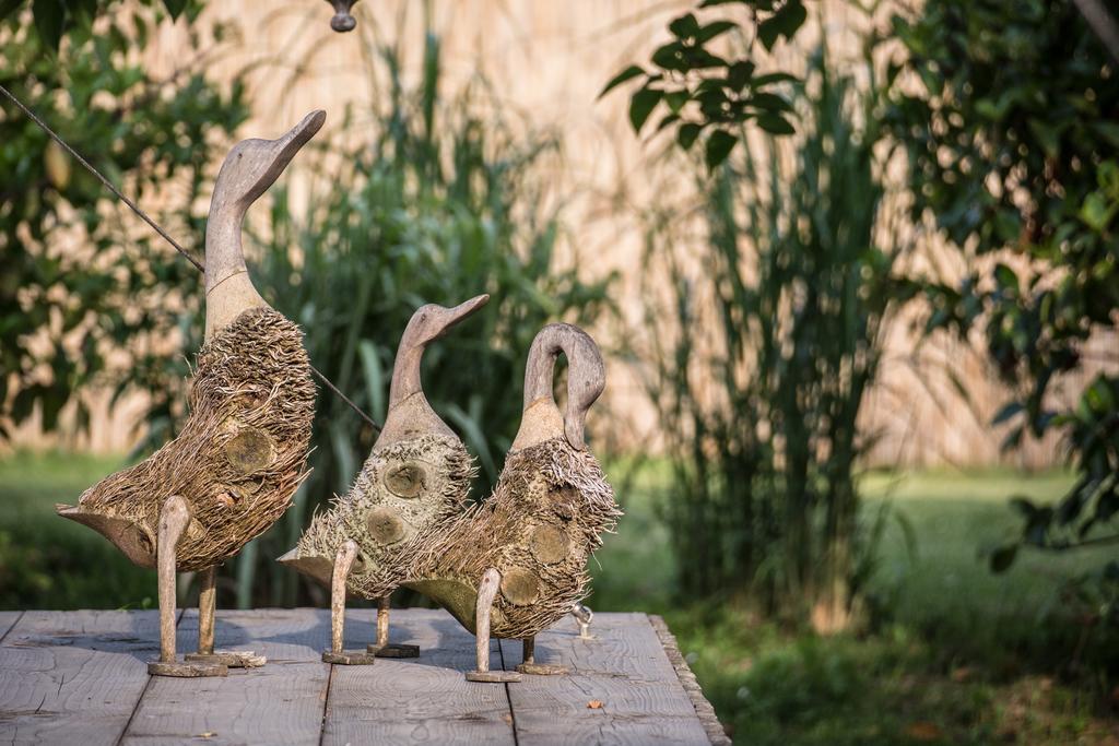 Glamping Canonici Di San Marco